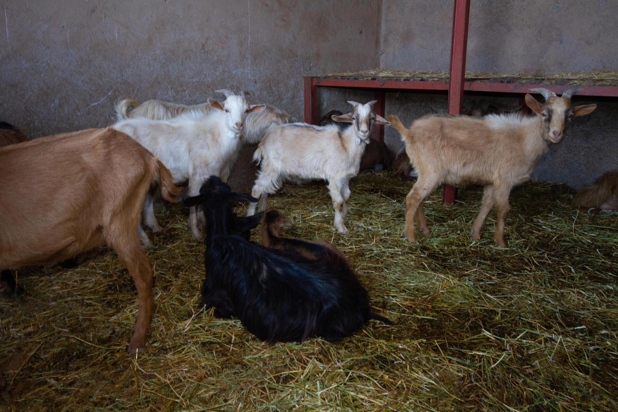 La Ferme De Lalladom Tameslouht Bagian luar foto