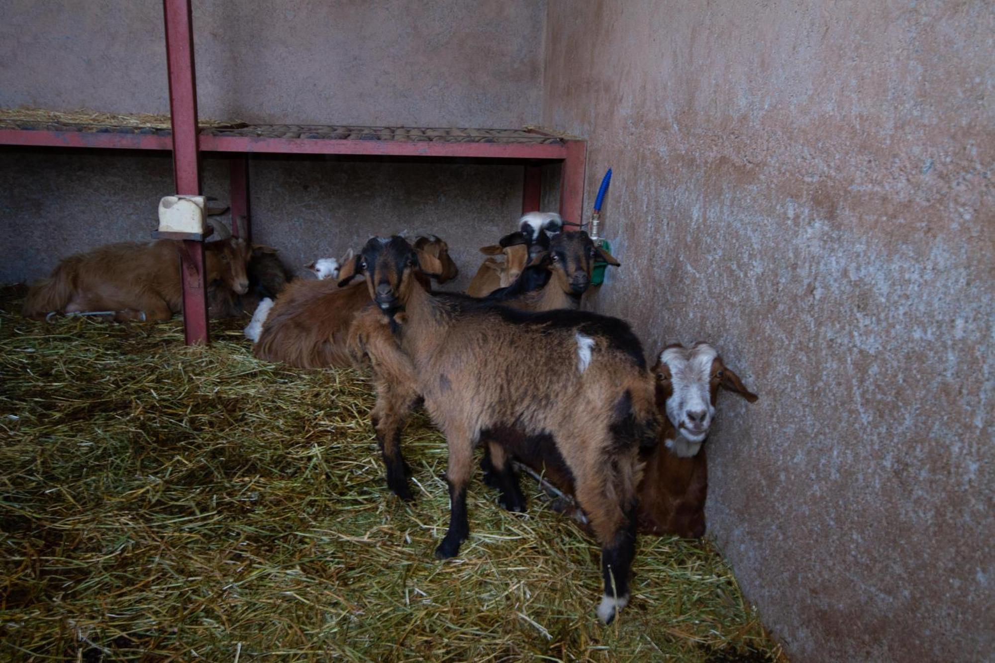 La Ferme De Lalladom Tameslouht Bagian luar foto