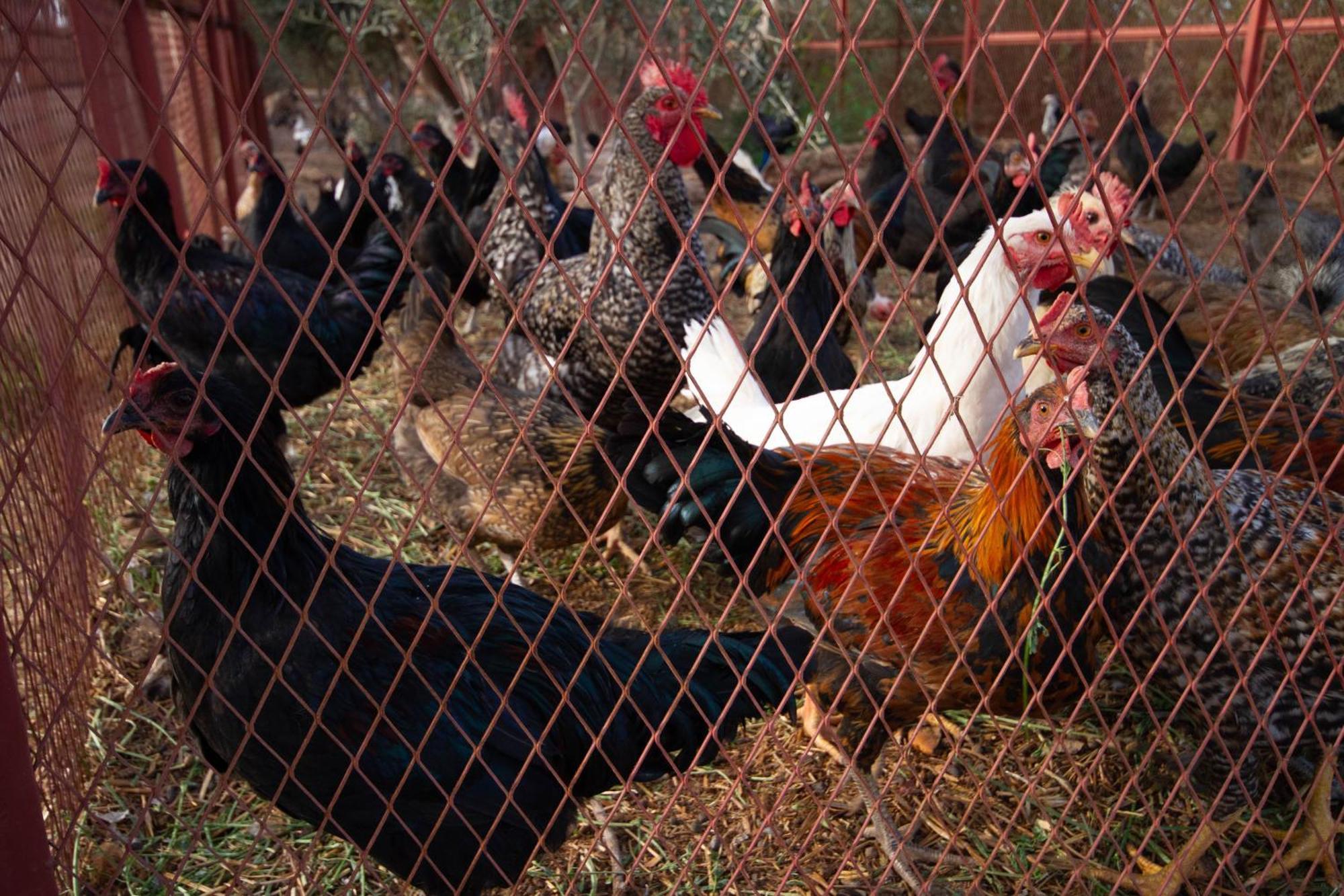 La Ferme De Lalladom Tameslouht Bagian luar foto
