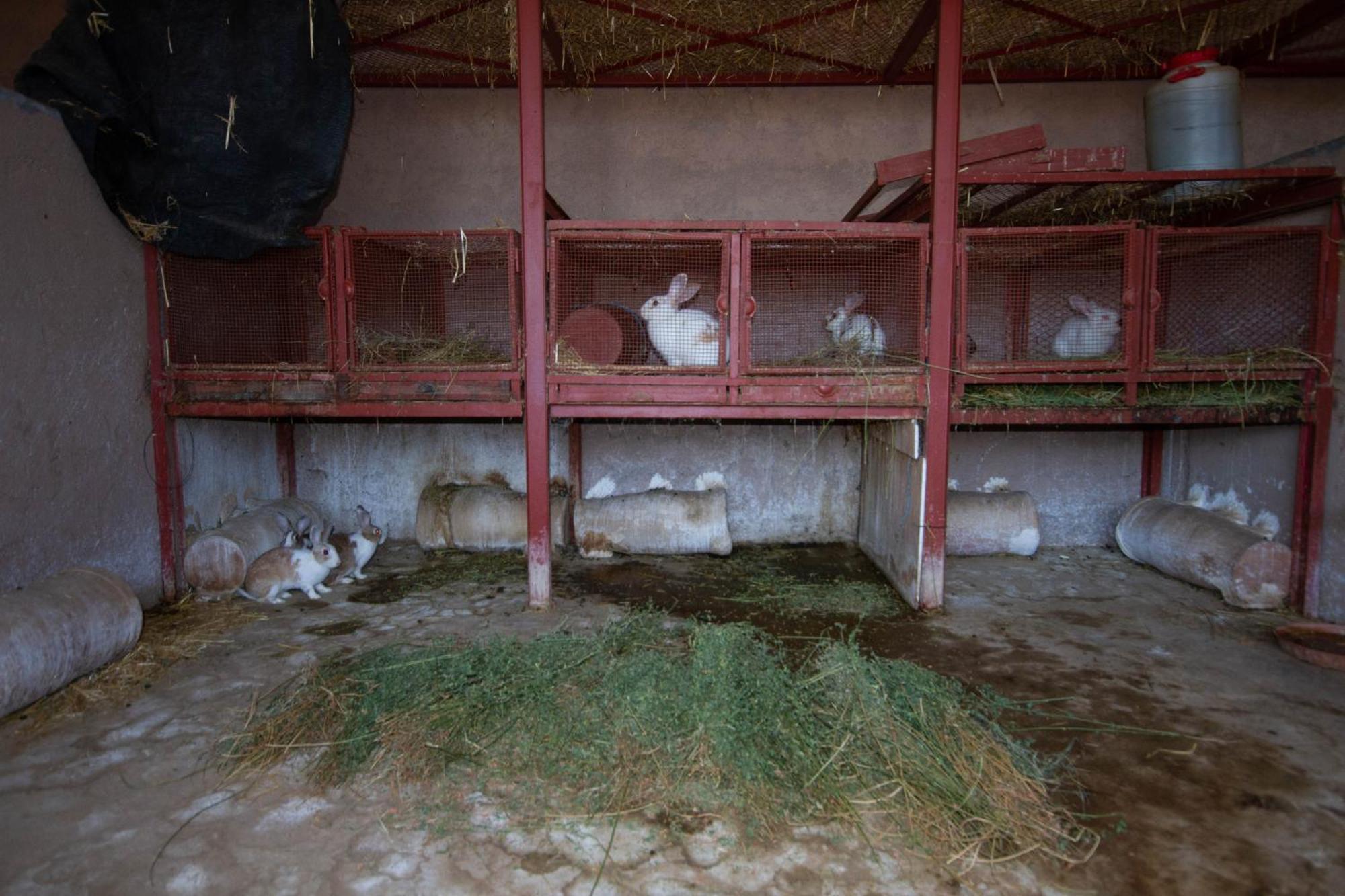 La Ferme De Lalladom Tameslouht Bagian luar foto