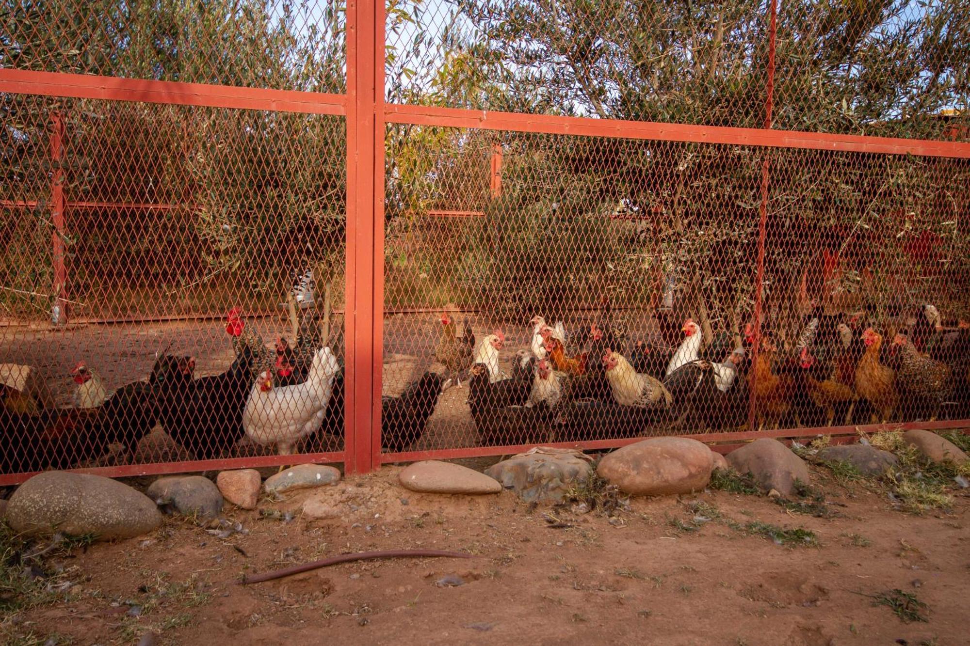 La Ferme De Lalladom Tameslouht Bagian luar foto